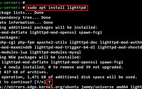 如何在 Ubuntu 22.04 上使用 MariaDB 和 PHP-FPM 安装 Lighttpd