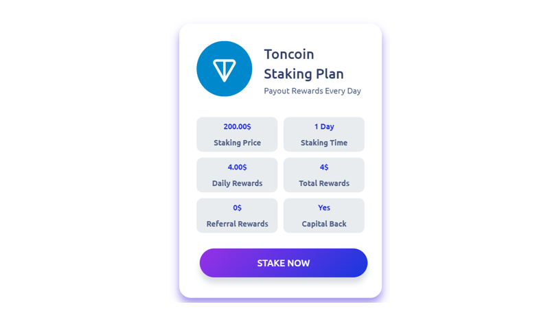 Toncoin 质押计划