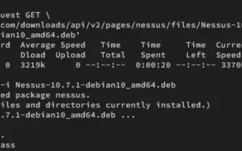 如何在 Debian 12 上安装和使用 Nessus 漏洞扫描程序