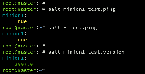 测试 salt ping 和版本