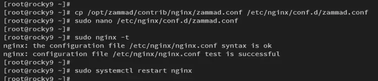 设置 nginx