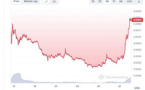 到 2030 年，NOT Coin 价格将达到 0.040 美元