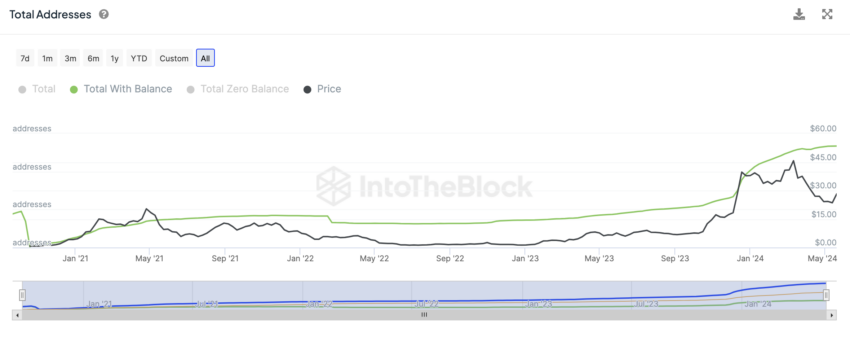 总地址数：IntoTheBlock