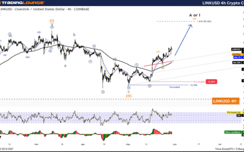 Chainlink Elliott Wave技术分析 [Video]