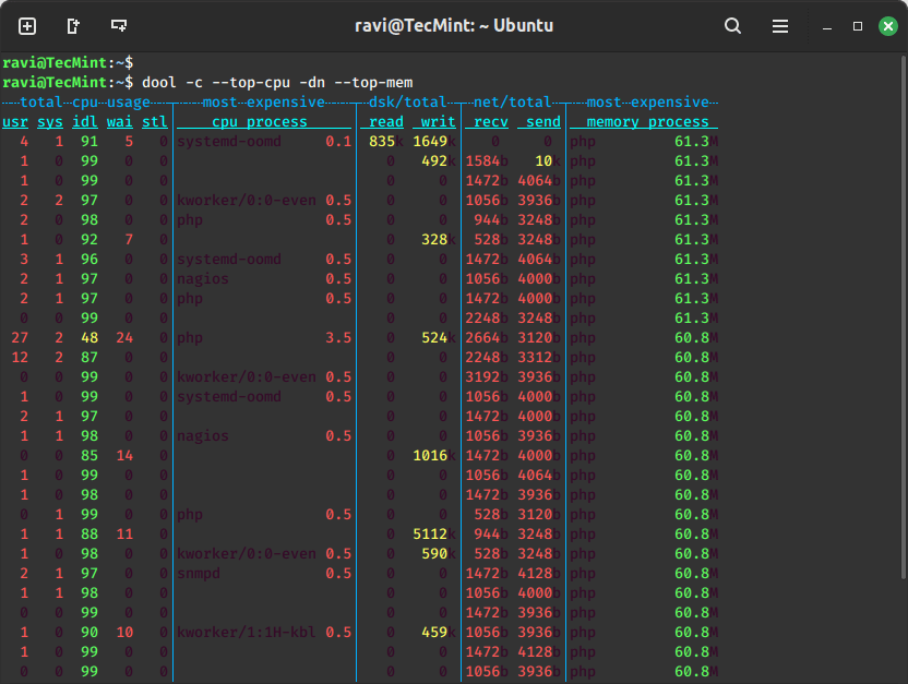 Dool – 通过 CPU 和内存使用情况监控进程