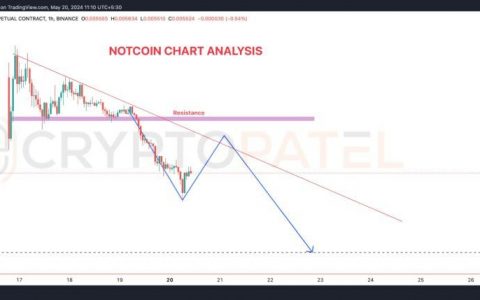 Notcoin 的价格暴跌 85%：出了什么问题？