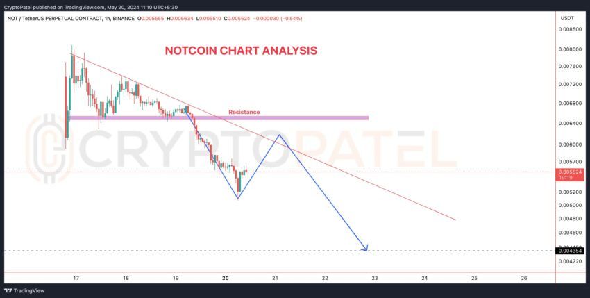 Notcoin (NOT) 价格分析