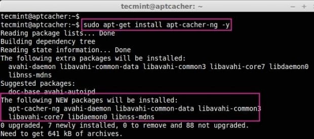 在 Ubuntu 中安装 apt-cacher-ng