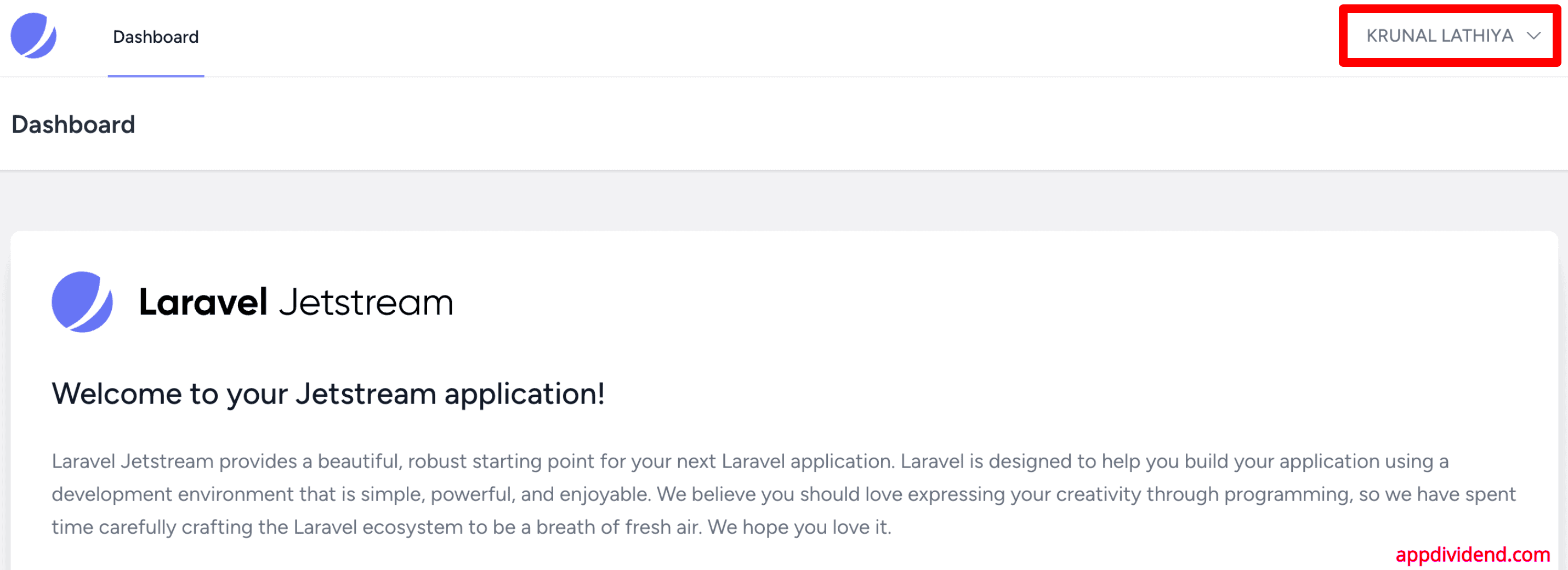 Laravel 11 仪表板