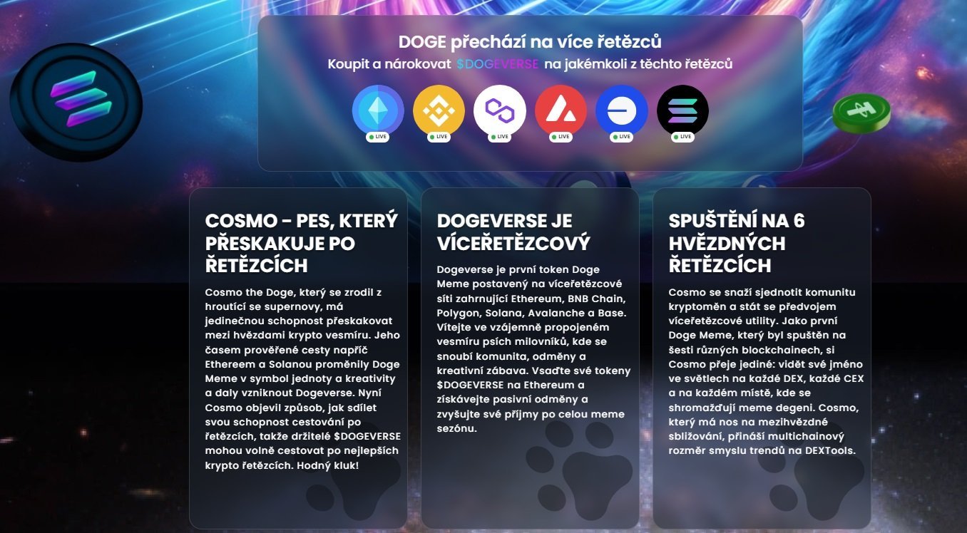 Dogeverse 为加密货币行业带来了六个不同区块链之间完全独特的桥接功能