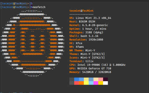 3 个顶级 Linux 系统信息工具