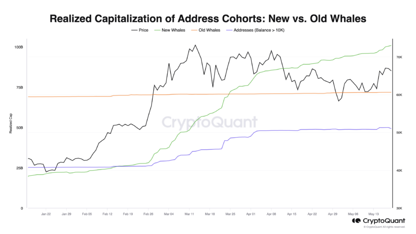 地址群组的已实现上限：CryptoQuant