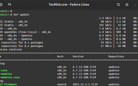 如何在 Linux 上安装 Apache、MySQL/MariaDB 和 PHP