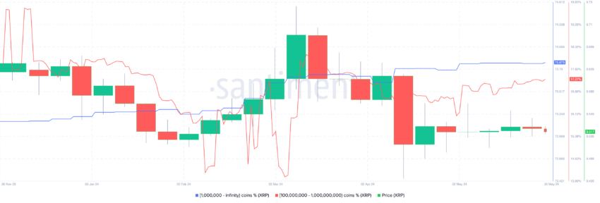 XRP 鲸鱼持有量。