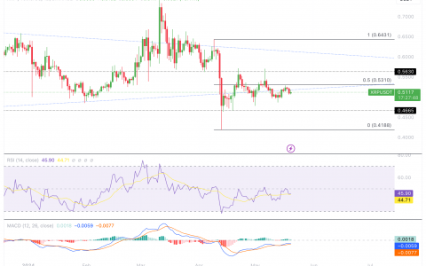 Ripple 支持区块链和量子计算研究，而 XRP 保持在关键支持之上