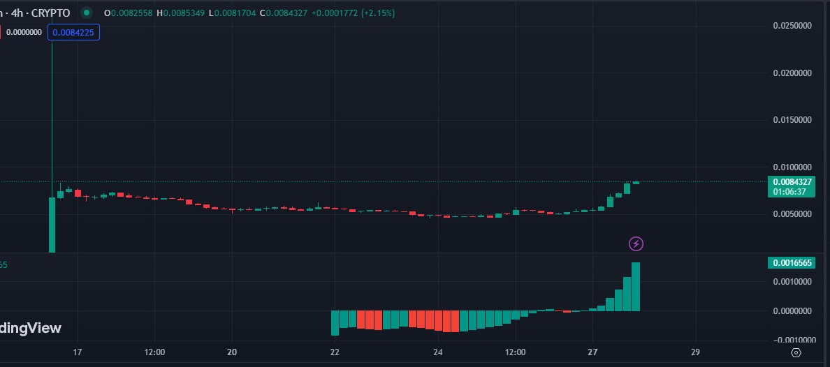 到 2030 年，NOT Coin 价格将达到 0.040 美元