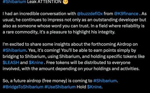 Crypto: Shibarium (SHIB) 推出大型空投以促进其活跃度