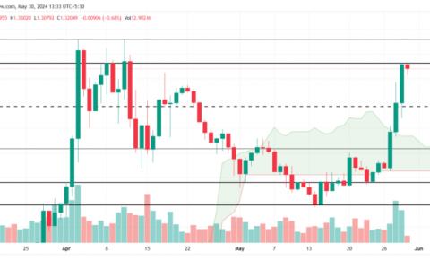 4 种加密货币有望在 2024 年 6 月创下历史新高