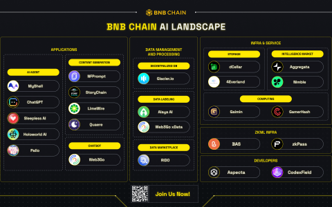 去中心化人工智能和BNB Chain相关一览总结