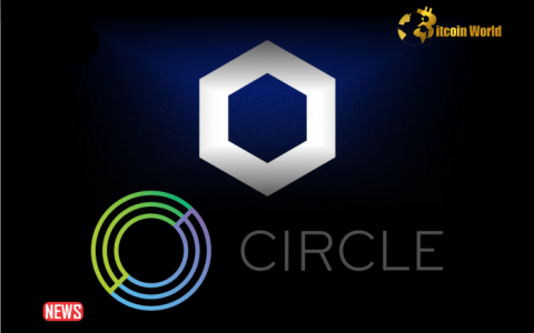 Chainlink 与 Circle 合作提升 DeFi 可用性和跨链 USDC