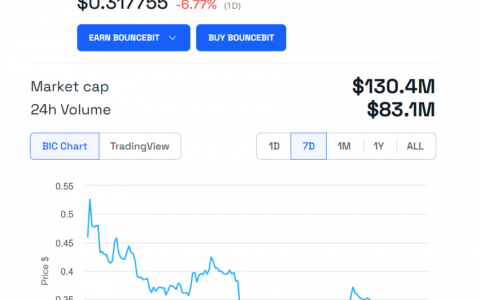 BounceBit 的 2024 年路线图强调了后主网战略