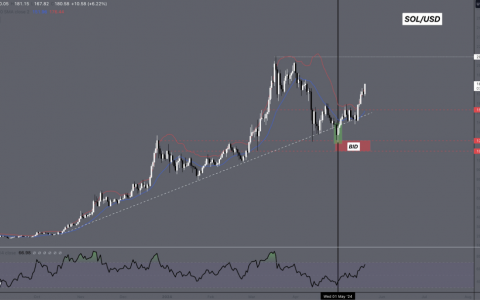 Solana 价格飙升至 180 美元以上——这个新的 SOL 代币接下来会爆炸吗？
