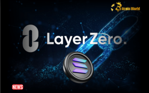 加密货币桥协议 LayerZero 连接至 Solana区块链