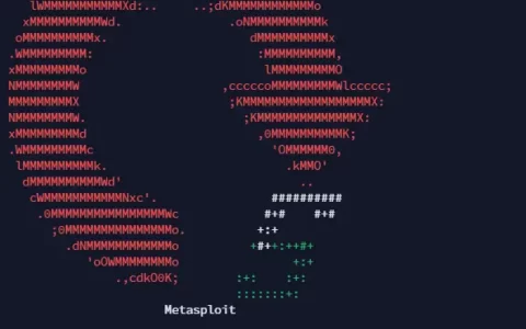 如何在 Ubuntu 22.04 上安装 Metasploit 框架