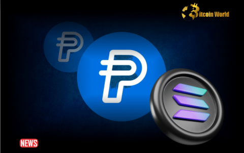 PayPal 的稳定币 PYUSD 在 Solana 上线