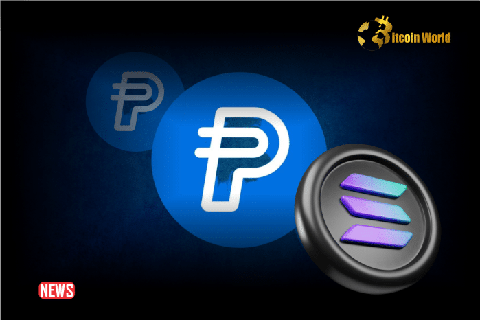 PayPal 的稳定币 PYUSD 在 Solana 上线