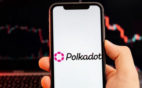 Polkadot (DOT) 价格：TikTok 会谈、Mythos Chain 迁移、Polimec 启动和 2024 年共识