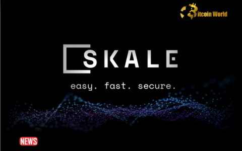 SKALE Labs 任命退伍军人 Andrew Saunders 为其新任首席营销官