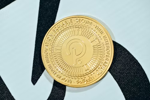 MoonBag Coin 成为 2024 年 6 月最有前途的加密货币，Polkadot 和 Toncoin 则被挤到幕后